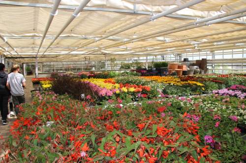 Bereich Gartenbau