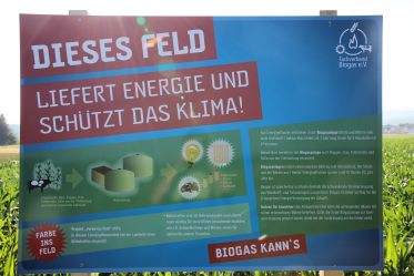 Biogas