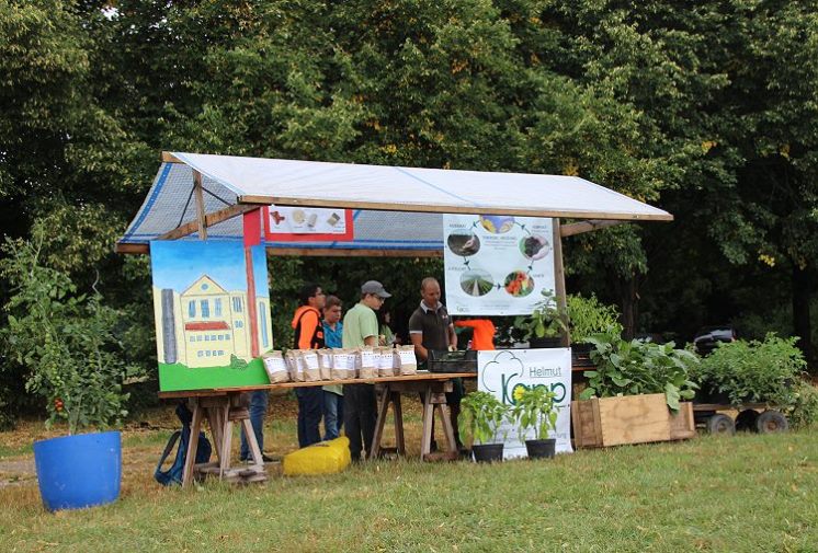 Garten- und Landschaftsbau Kapp