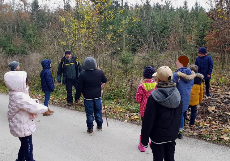 Ankunft im Wald