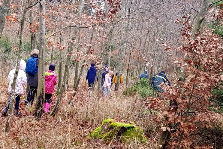 Baum wird aus dem Wald gebracht