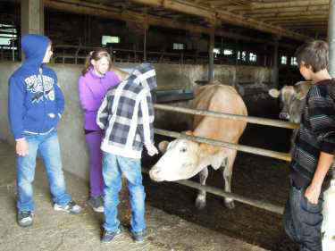 Beim Landwirt
